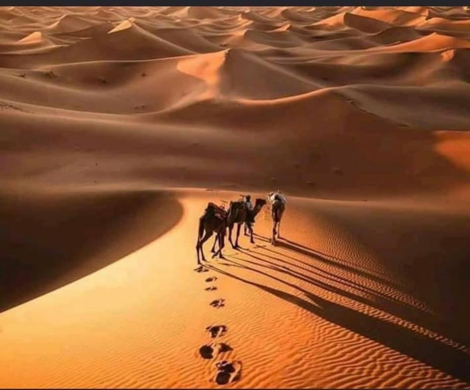 Camp Desert Bivouac Chegaga El Gouera Bagian luar foto