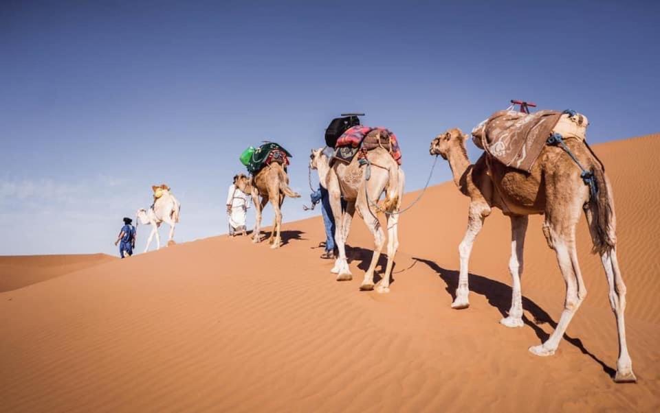 Camp Desert Bivouac Chegaga El Gouera Bagian luar foto