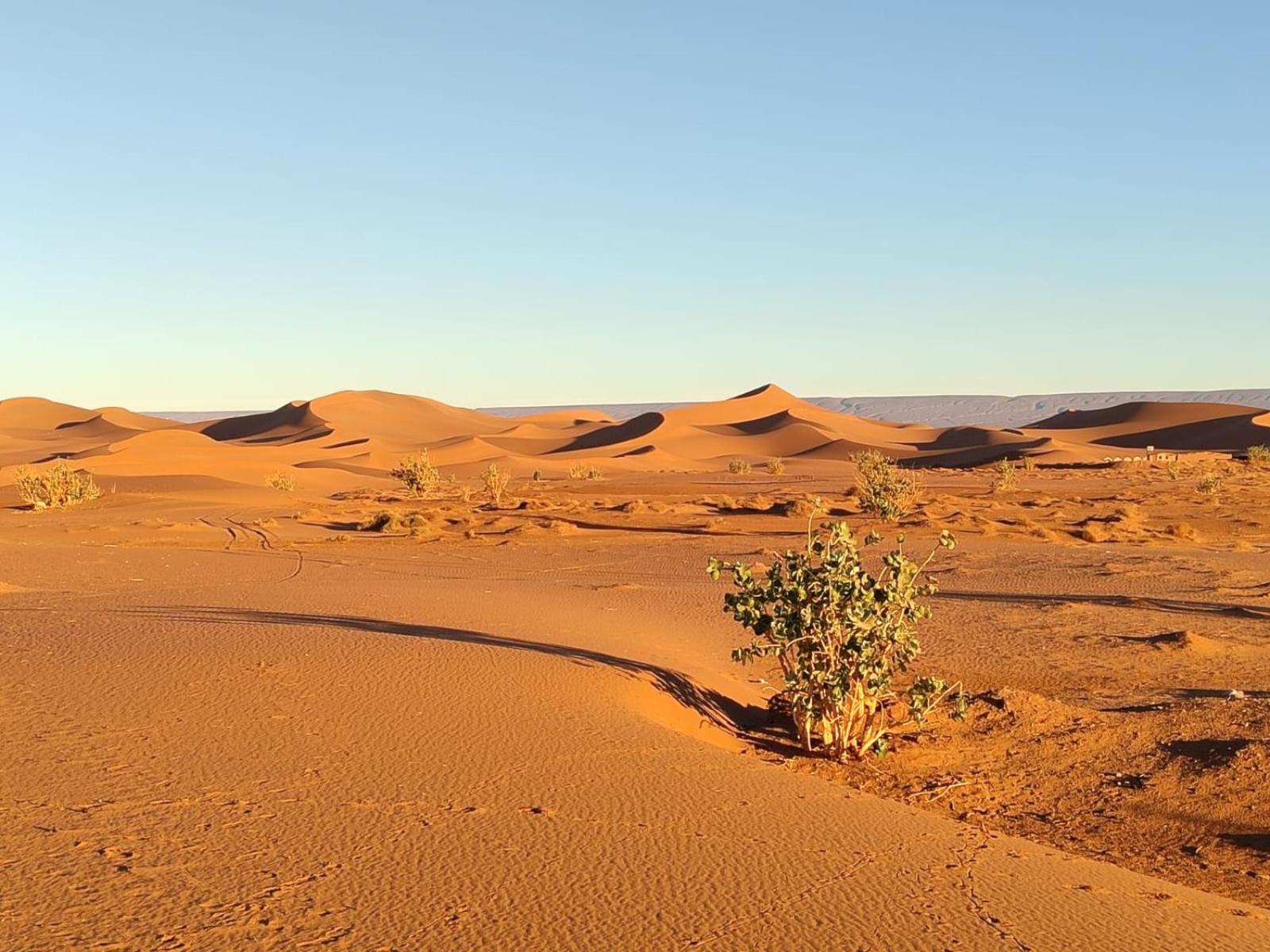 Camp Desert Bivouac Chegaga El Gouera Bagian luar foto