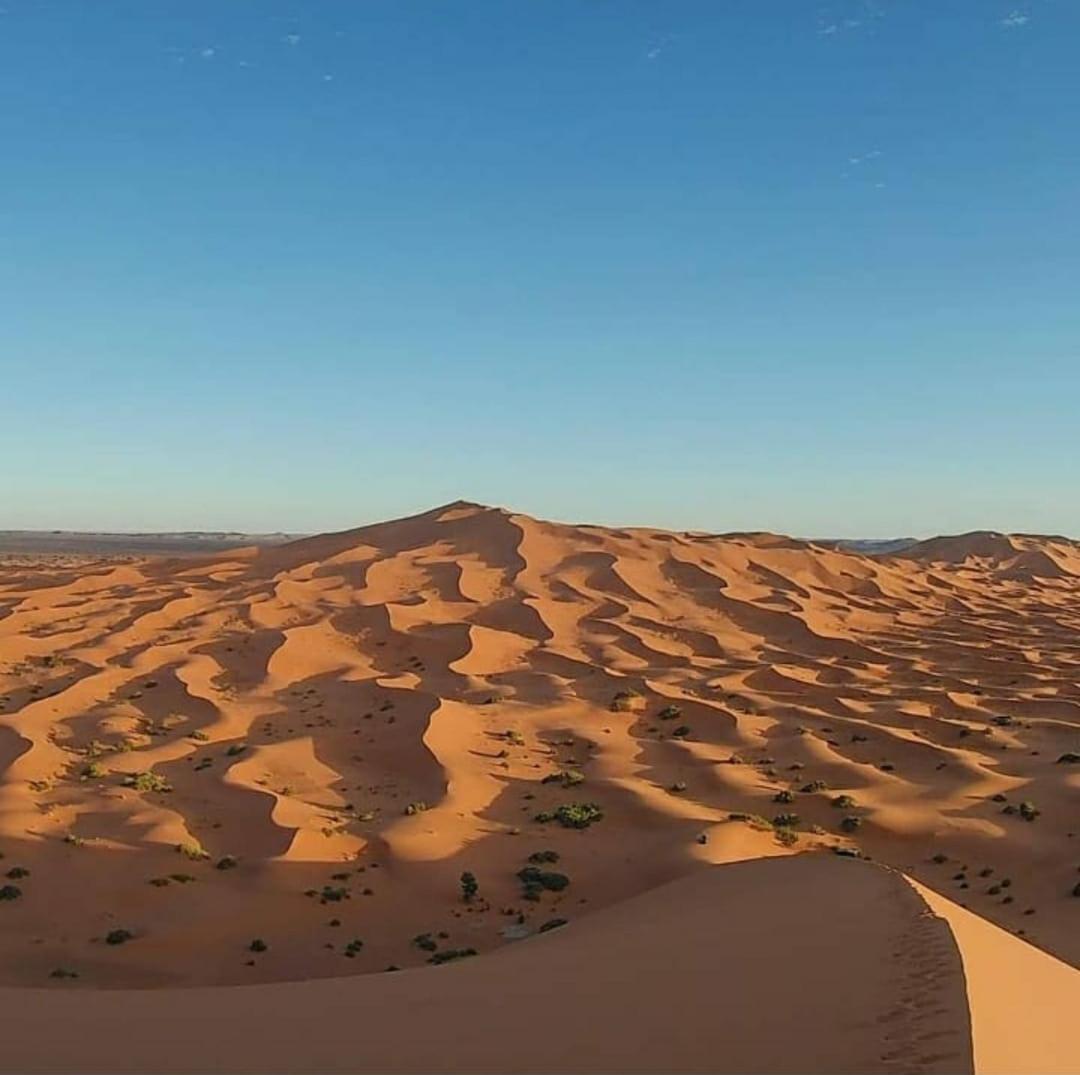Camp Desert Bivouac Chegaga El Gouera Bagian luar foto