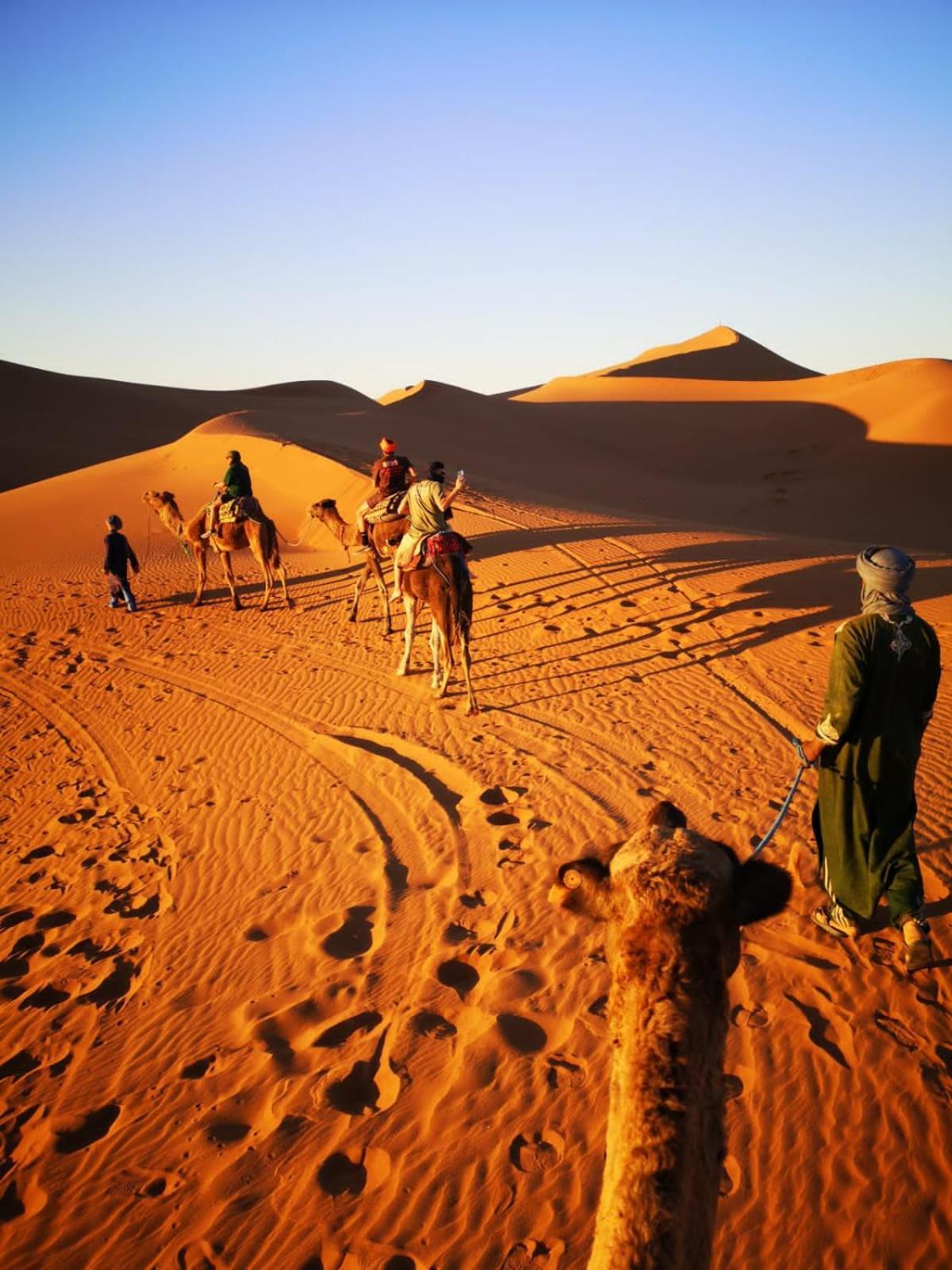 Camp Desert Bivouac Chegaga El Gouera Bagian luar foto