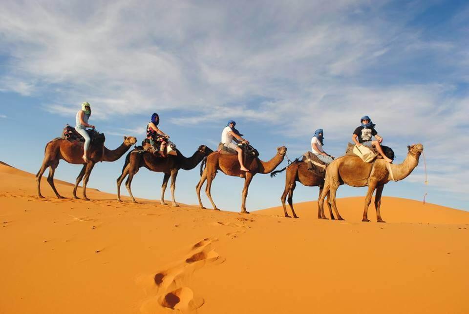 Camp Desert Bivouac Chegaga El Gouera Bagian luar foto
