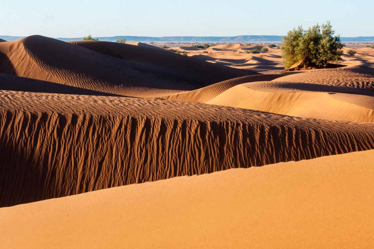 Camp Desert Bivouac Chegaga El Gouera Bagian luar foto